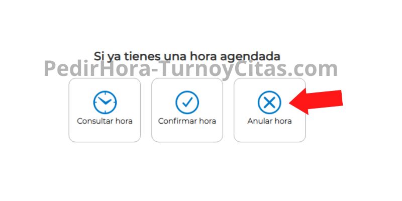 anular hora integramedica