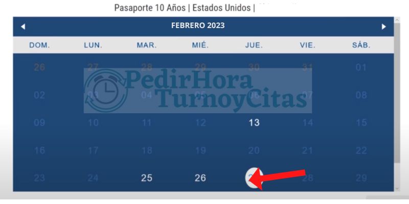 cita consular honduras